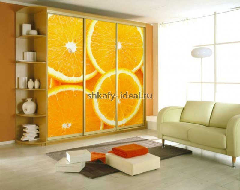 shop1681